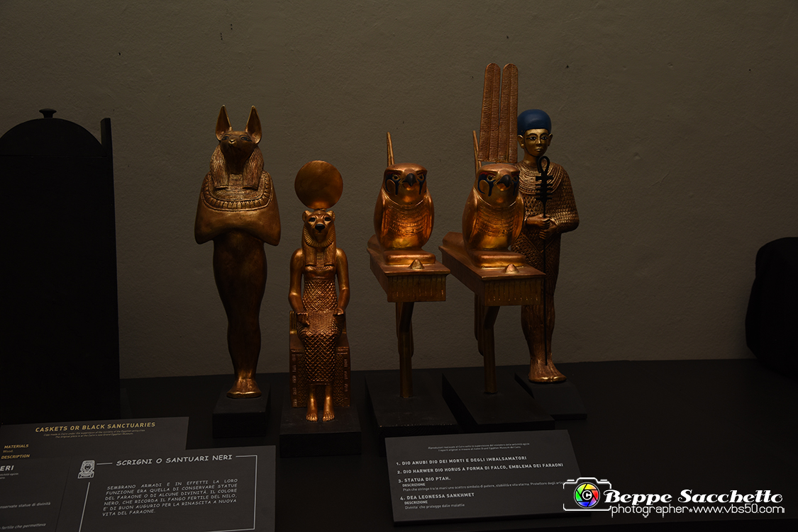 VBS_5201 - Tutankhamon - Viaggio verso l'eternità.jpg